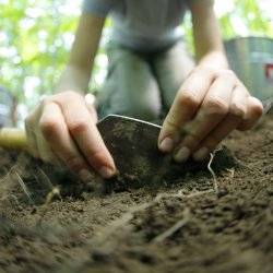 Fouille publique Archéo-Québec Mois de l'archéologie 2017